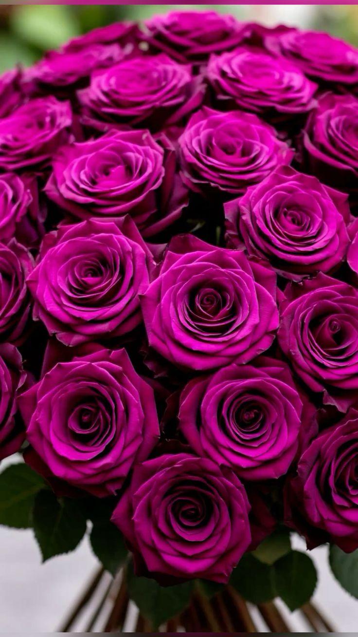 Twilight Elegance Petal Symphony