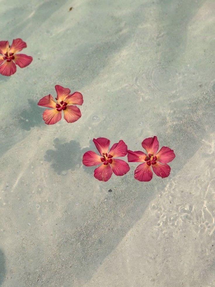 Whisper of Dawn Floral Embrace